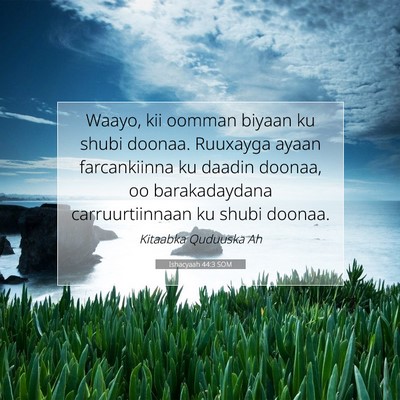 Picture 07 - Ishacyaah 44:3 SOM - Waayo, kii oomman biyaan ku shubi doonaa. - Bible Verse Picture