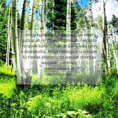 Picture 07 - Ishacyaah 45:19 SOM - Anigu kuma hadlin qarsoodi iyo meel gudcur ah oo - Bible Verse Picture