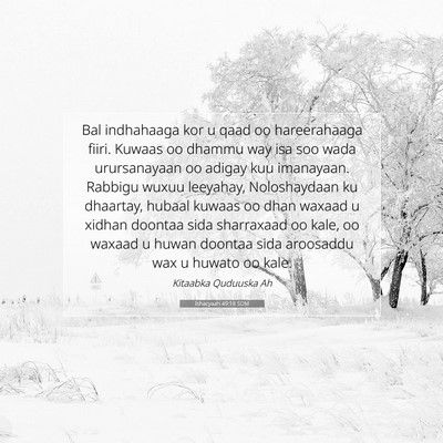 Picture 07 - Ishacyaah 49:18 SOM - Bal indhahaaga kor u qaad oo hareerahaaga fiiri. - Bible Verse Picture