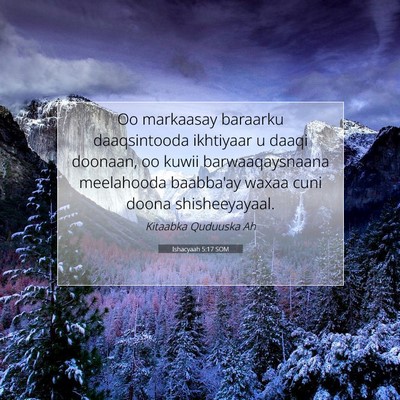 Picture 07 - Ishacyaah 5:17 SOM - Oo markaasay baraarku daaqsintooda ikhtiyaar u - Bible Verse Picture