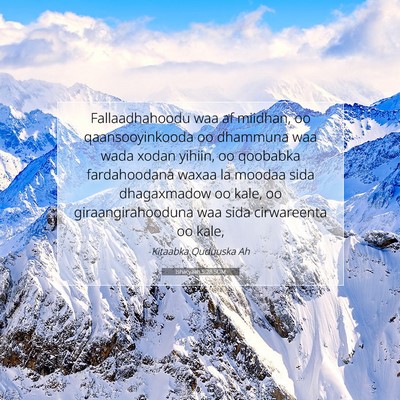 Picture 07 - Ishacyaah 5:28 SOM - Fallaadhahoodu waa af miidhan, oo qaansooyinkooda - Bible Verse Picture