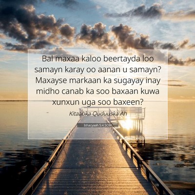 Picture 07 - Ishacyaah 5:4 SOM - Bal maxaa kaloo beertayda loo samayn karay oo - Bible Verse Picture