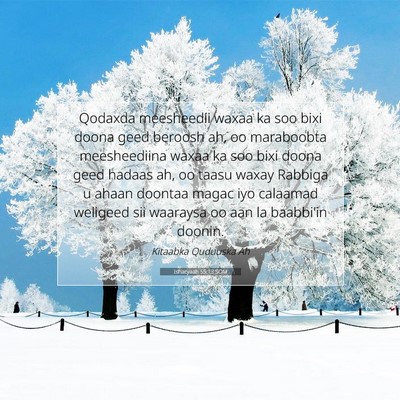 Picture 07 - Ishacyaah 55:13 SOM - Qodaxda meesheedii waxaa ka soo bixi doona geed - Bible Verse Picture