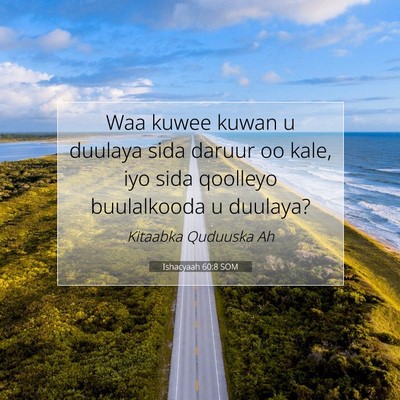 Picture 07 - Ishacyaah 60:8 SOM - Waa kuwee kuwan u duulaya sida daruur oo kale, - Bible Verse Picture