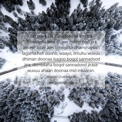 Picture 07 - Ishacyaah 65:20 SOM - Oo markaas dabadeedna innaba dhexdeeda ilmo dhawr - Bible Verse Picture
