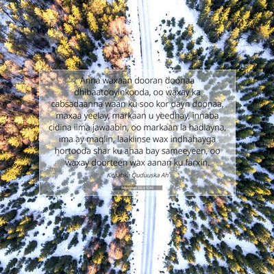 Picture 07 - Ishacyaah 66:4 SOM - Anna waxaan dooran doonaa dhibaatooyinkooda, oo - Bible Verse Picture