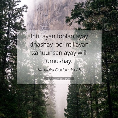 Picture 07 - Ishacyaah 66:7 SOM - Intii ayan foolan ayay dhashay, oo intii ayan - Bible Verse Picture