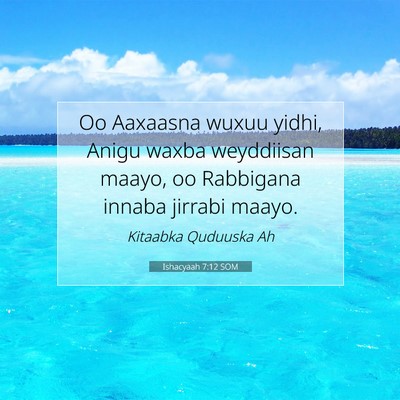 Picture 07 - Ishacyaah 7:12 SOM - Oo Aaxaasna wuxuu yidhi, Anigu waxba weyddiisan - Bible Verse Picture