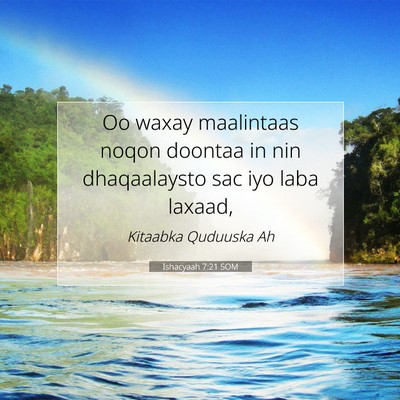 Picture 07 - Ishacyaah 7:21 SOM - Oo waxay maalintaas noqon doontaa in nin - Bible Verse Picture