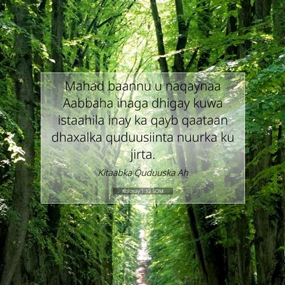 Picture 07 - Kolosay 1:12 SOM - Mahad baannu u naqaynaa Aabbaha inaga dhigay kuwa - Bible Verse Picture