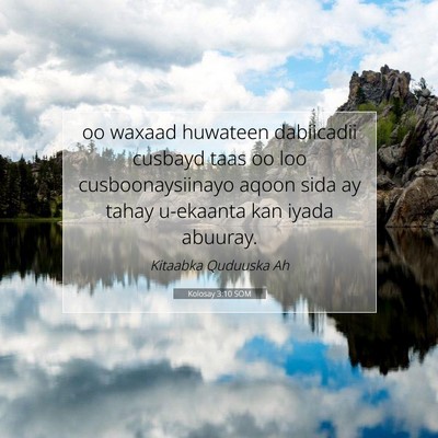 Picture 07 - Kolosay 3:10 SOM - oo waxaad huwateen dabiicadii cusbayd taas oo loo - Bible Verse Picture