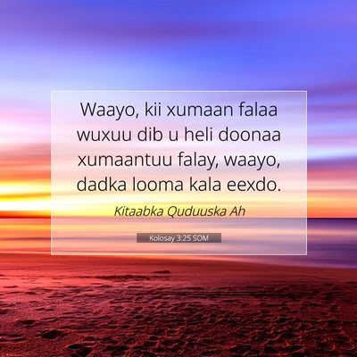 Picture 07 - Kolosay 3:25 SOM - Waayo, kii xumaan falaa wuxuu dib u heli doonaa - Bible Verse Picture