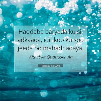 Picture 07 - Kolosay 4:2 SOM - Haddaba baryada ku sii adkaada, idinkoo ku soo - Bible Verse Picture