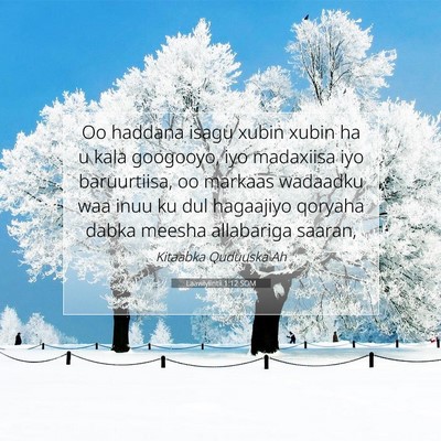 Picture 07 - Laawiyiintii 1:12 SOM - Oo haddana isagu xubin xubin ha u kala googooyo, - Bible Verse Picture