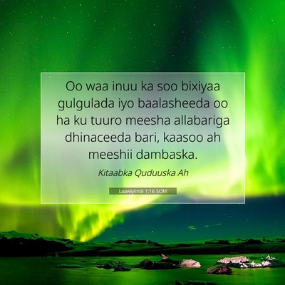 Picture 07 - Laawiyiintii 1:16 SOM - Oo waa inuu ka soo bixiyaa gulgulada iyo - Bible Verse Picture