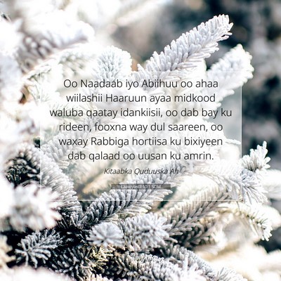 Picture 07 - Laawiyiintii 10:1 SOM - Oo Naadaab iyo Abiihuu oo ahaa wiilashii Haaruun - Bible Verse Picture
