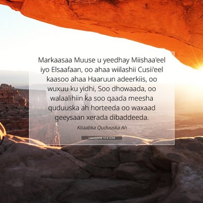 Picture 07 - Laawiyiintii 10:4 SOM - Markaasaa Muuse u yeedhay Miishaa'eel iyo - Bible Verse Picture