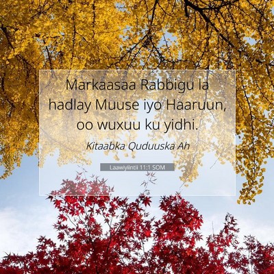 Picture 07 - Laawiyiintii 11:1 SOM - Markaasaa Rabbigu la hadlay Muuse iyo Haaruun, oo - Bible Verse Picture
