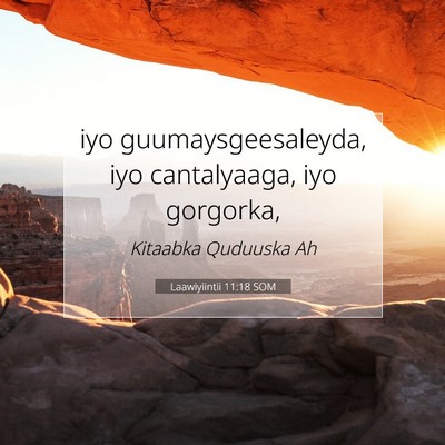 Picture 07 - Laawiyiintii 11:18 SOM - iyo guumaysgeesaleyda, iyo cantalyaaga, iyo - Bible Verse Picture