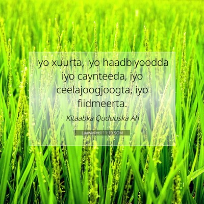 Picture 07 - Laawiyiintii 11:19 SOM - iyo xuurta, iyo haadbiyoodda iyo caynteeda, iyo - Bible Verse Picture