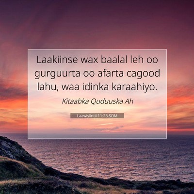 Picture 07 - Laawiyiintii 11:23 SOM - Laakiinse wax baalal leh oo gurguurta oo afarta - Bible Verse Picture
