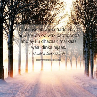 Picture 07 - Laawiyiintii 11:38 SOM - Laakiinse abuurka haddii biyo lagu shubo oo wax - Bible Verse Picture