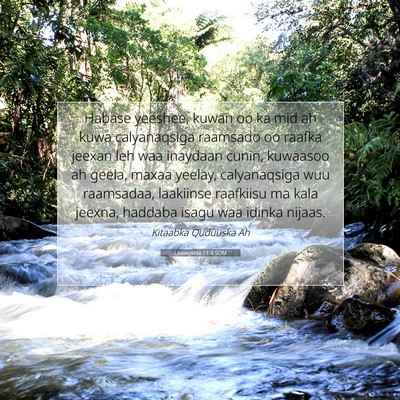Picture 07 - Laawiyiintii 11:4 SOM - Habase yeeshee, kuwan oo ka mid ah kuwa - Bible Verse Picture