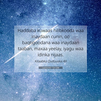 Picture 07 - Laawiyiintii 11:8 SOM - Haddaba kuwaas hilibkooda waa inaydaan cunin, oo - Bible Verse Picture