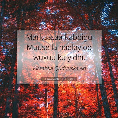 Picture 07 - Laawiyiintii 12:1 SOM - Markaasaa Rabbigu Muuse la hadlay oo wuxuu ku - Bible Verse Picture