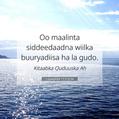 Picture 07 - Laawiyiintii 12:3 SOM - Oo maalinta siddeedaadna wiilka buuryadiisa ha la - Bible Verse Picture