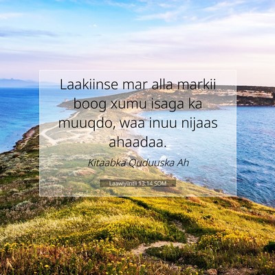 Picture 07 - Laawiyiintii 13:14 SOM - Laakiinse mar alla markii boog xumu isaga ka - Bible Verse Picture