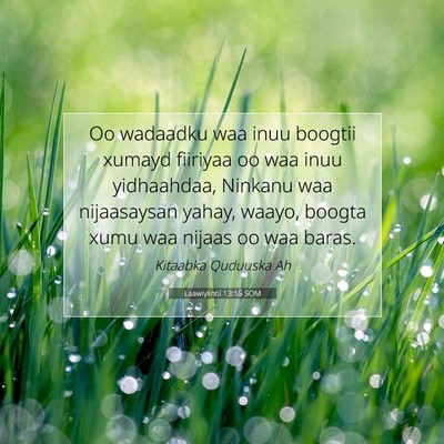Picture 07 - Laawiyiintii 13:15 SOM - Oo wadaadku waa inuu boogtii xumayd fiiriyaa oo - Bible Verse Picture