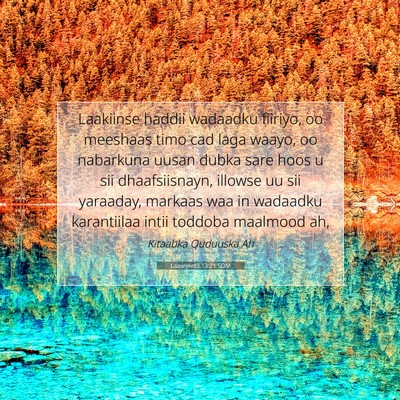 Picture 07 - Laawiyiintii 13:21 SOM - Laakiinse haddii wadaadku fiiriyo, oo meeshaas - Bible Verse Picture