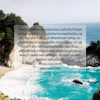 Picture 07 - Laawiyiintii 13:30 SOM - markaas wadaadku waa inuu cudurka fiiriyaa, oo - Bible Verse Picture