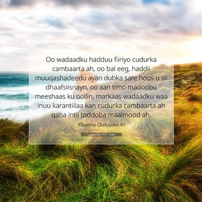 Picture 07 - Laawiyiintii 13:31 SOM - Oo wadaadku hadduu fiiriyo cudurka cambaarta ah, - Bible Verse Picture