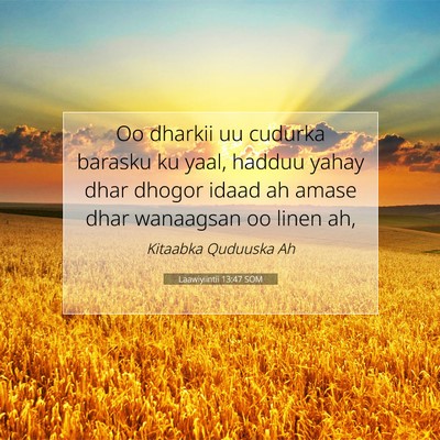 Picture 07 - Laawiyiintii 13:47 SOM - Oo dharkii uu cudurka barasku ku yaal, hadduu - Bible Verse Picture