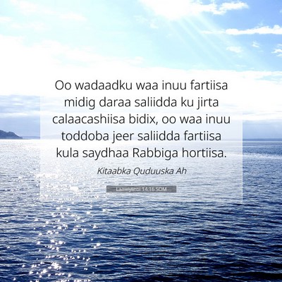 Picture 07 - Laawiyiintii 14:16 SOM - Oo wadaadku waa inuu fartiisa midig daraa - Bible Verse Picture