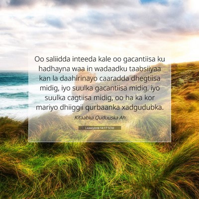 Picture 07 - Laawiyiintii 14:17 SOM - Oo saliidda inteeda kale oo gacantiisa ku - Bible Verse Picture