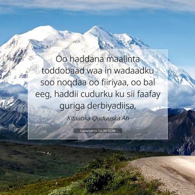 Picture 07 - Laawiyiintii 14:39 SOM - Oo haddana maalinta toddobaad waa in wadaadku soo - Bible Verse Picture