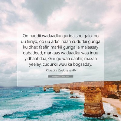 Picture 07 - Laawiyiintii 14:48 SOM - Oo haddii wadaadku guriga soo galo, oo uu - Bible Verse Picture