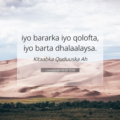 Picture 07 - Laawiyiintii 14:56 SOM - iyo bararka iyo qolofta, iyo barta - Bible Verse Picture