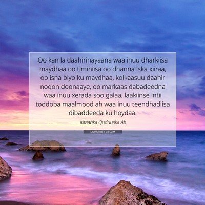 Picture 07 - Laawiyiintii 14:8 SOM - Oo kan la daahirinayaana waa inuu dharkiisa - Bible Verse Picture