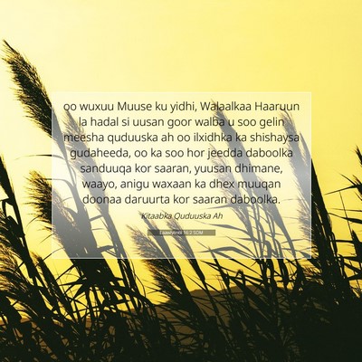 Picture 07 - Laawiyiintii 16:2 SOM - oo wuxuu Muuse ku yidhi, Walaalkaa Haaruun la - Bible Verse Picture