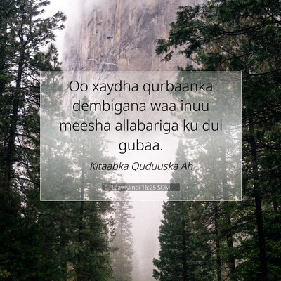 Picture 07 - Laawiyiintii 16:25 SOM - Oo xaydha qurbaanka dembigana waa inuu meesha - Bible Verse Picture