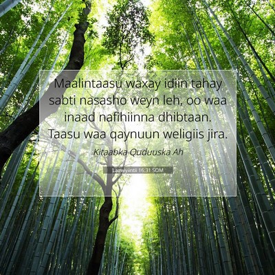 Picture 07 - Laawiyiintii 16:31 SOM - Maalintaasu waxay idiin tahay sabti nasasho weyn - Bible Verse Picture