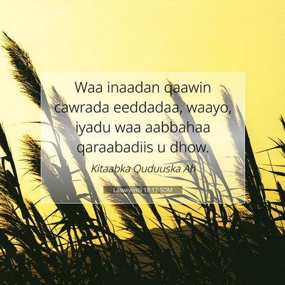 Picture 07 - Laawiyiintii 18:12 SOM - Waa inaadan qaawin cawrada eeddadaa, waayo, iyadu - Bible Verse Picture