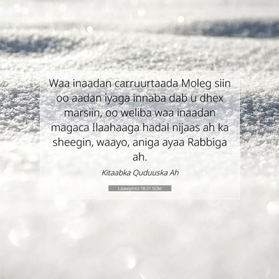 Picture 07 - Laawiyiintii 18:21 SOM - Waa inaadan carruurtaada Moleg siin oo aadan - Bible Verse Picture