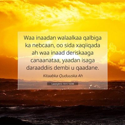 Picture 07 - Laawiyiintii 19:17 SOM - Waa inaadan walaalkaa qalbiga ka nebcaan, oo sida - Bible Verse Picture