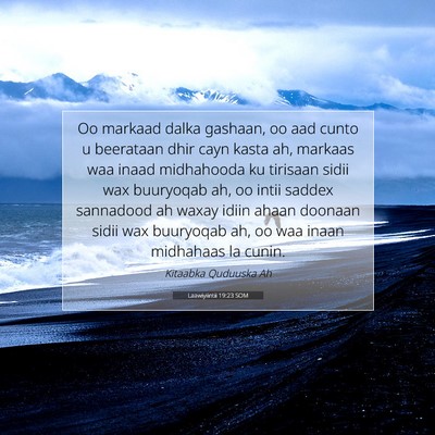 Picture 07 - Laawiyiintii 19:23 SOM - Oo markaad dalka gashaan, oo aad cunto u - Bible Verse Picture
