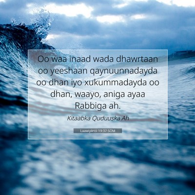Picture 07 - Laawiyiintii 19:37 SOM - Oo waa inaad wada dhawrtaan oo yeeshaan - Bible Verse Picture